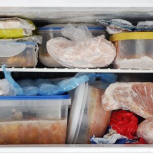 Chest freezer for home or commercial cold storage